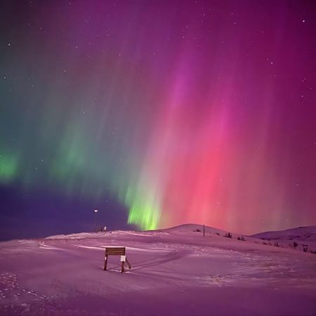 Hlid Cottages Myvatn Luaran gambar